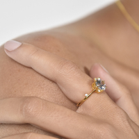 Phaedra Austrian Fine Zircon Open Ring (Gold Vermeil) image