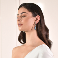 Claramay Glamour Zircon Drop Earrings