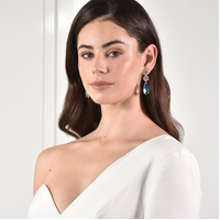 Claramay Glamour Zircon Drop Earrings