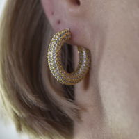 Elior Diamnate-embellished Hoop Earrings (Gold)