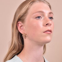 Bricia Delicate Sparkle Stud Earrings