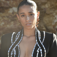 Darya Artsy Wave Earrings (Brown)