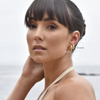 Avari Classic Hoop Earrings (Gold Vermeil)