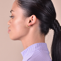 Cass Dainty Croissant Huggie Earrings