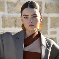 Raya Bold Arc Resin Drop Earrings (Caramel Brown)