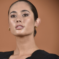 Archie Artsy Twin Curve Earrings (Gold Vermeil)