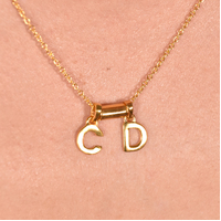 24K Gold Initial Pendant Necklace - 2 Letters