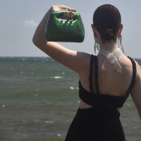 Elka Artsy Resin Clutch (Emerald Green)