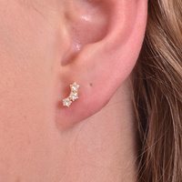 Nia Gold Filled Sparkling Stud Earrings