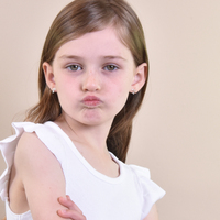 Little Dolphin Earrings