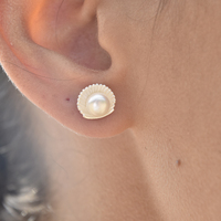 Triana Clam Pearl Stud Earrings