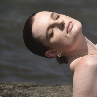 Velma Twisted U Huggie Earrings (Gold Vermeil)