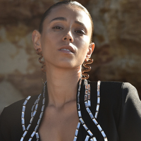 Darya Artsy Wave Earrings (Brown)