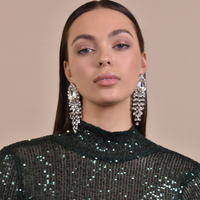 Rayne Crystal Diamante Earrings Silver (my ears are pierced)