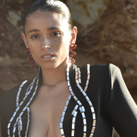 Darya Artsy Wave Earrings (Red)