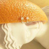 Mora Gold Filled Double Drop Earrings