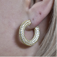 Elior Diamnate-embellished Hoop Earrings (Gold)