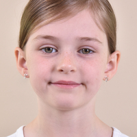 Little Dolphin Earrings