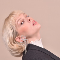 Annelise Catwalk Diamante Earrings (My ears are pierced)