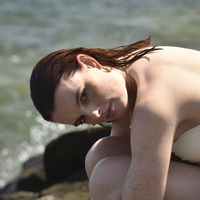 Tory Modern Muse Solid Bowl Earrings