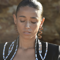 Darya Artsy Wave Earrings (Brown)