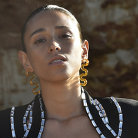 Darya Artsy Wave Earrings (Orange)