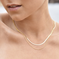 Ellamae Fine Dual Chain Necklace (Gold Vermeil)
					