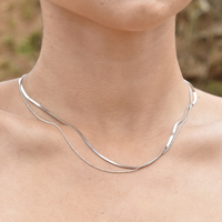 Ellamae Fine Dual Chain Necklace (Silver)
					