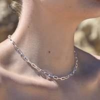 Elvrie Classic Oval Chain Necklace (Silver)
					