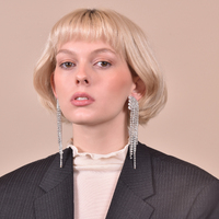 Emilio Crystal Diamante Earrings (My ears are pierced)