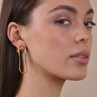 Tiffany Contemporary Flow Earrings (Gold)