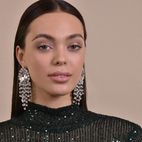 Rayne Crystal Diamante Earrings Silver (my ears are pierced)