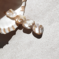 Darya Artisan Irregular Shell Hair Clip
					