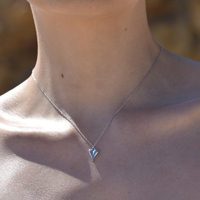 Lavinia Classic Love Heart Pendant Necklace (Silver)
					