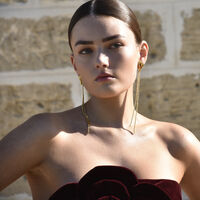 Lucian Gold Heart String Earrings