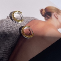 Sol Artsy Chic Dainty Dual Tone Hoop Earrings 