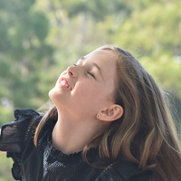 Little Crown Fish Rose Gold Stud Earrings