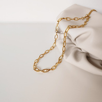 Andy Gold Chain Necklace
					