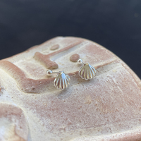Cami Shell Screwback Earrings
					