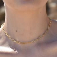 Elvrie Classic Oval Chain Necklace (Gold Vermeil)
					