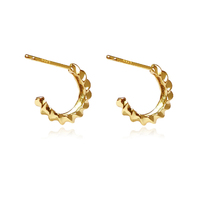 Aster Gold Filled Dainty Twist Earrings image