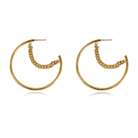 Not Your Regular Hoop Earrings (Gold) image