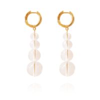 Chantel Clear-minded Earrings image