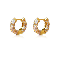 Averie Dainty CZ Embellished Huggie Earrings (Gold) image