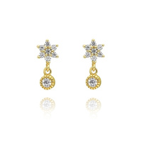 Aubree Gold Filled Star Earrings image