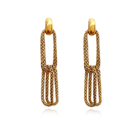 Daniella Twin Loop Chain Drop Earrings image