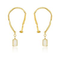 Echo Artsy Ear Frame Earrings image