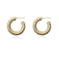 Elior Diamnate-embellished Hoop Earrings (Gold) image