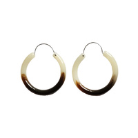 Carme Resin Hoop Earrings image