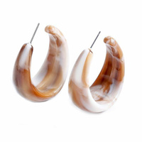 Genvieve Resin Hoop Earrings image